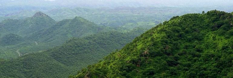 सज्जनगढ़ वन्यजीव अभयारण्य